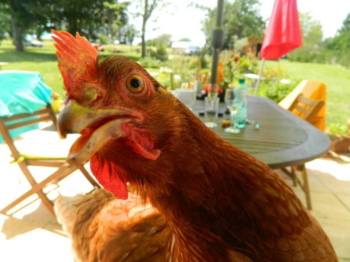 Chez Daisy Villa Montbron Luaran gambar